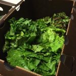 Farms for Life Donation