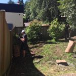 Heaton Dainard Volunteers